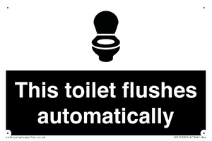 This toilet flushes automatically
